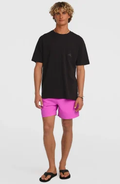 Homme O'Neill Shorts De Bain|Protection Anti-Uv-HommesShort de bain Logo 16''| Violet