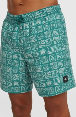 Homme O'Neill Shorts De Bain|Protection Anti-Uv-HommesShort de bain Print 16| Bleu