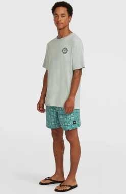 Homme O'Neill Shorts De Bain|Protection Anti-Uv-HommesShort de bain Print 16| Bleu