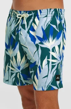 Homme O'Neill Shorts De Bain|Protection Anti-Uv-HommesShort de bain Print 16| Bleu