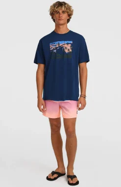 Homme O'Neill Shorts De Bain|Protection Anti-Uv-HommesShort de bain Gradient 15| Bleu Mix