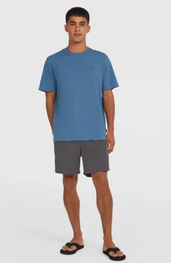 Homme O'Neill Shorts De Bain|Protection Anti-Uv-HommesShort de bain Vert 16''| Gris