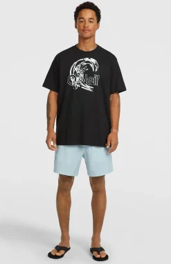 Homme O'Neill Shorts De Bain|Protection Anti-Uv-HommesShort de bain O'Riginals Cali Ocean 16''| Bleu