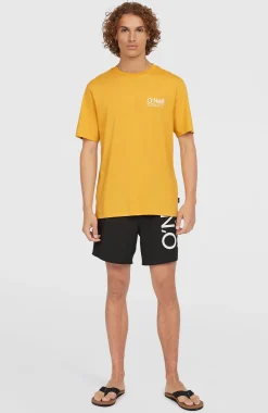 Homme O'Neill Shorts De Bain|Protection Anti-Uv-HommesShort de bain Original Cali 16''| Noire