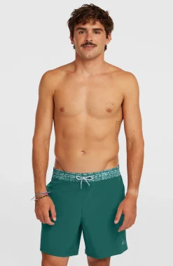 Homme O'Neill Shorts De Bain|Protection Anti-Uv-HommesShort de bain Pocket Print 16| Vert