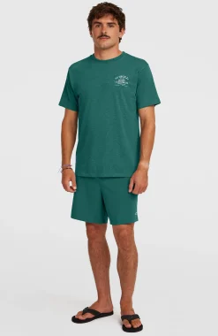 Homme O'Neill Shorts De Bain|Protection Anti-Uv-HommesShort de bain Pocket Print 16| Vert