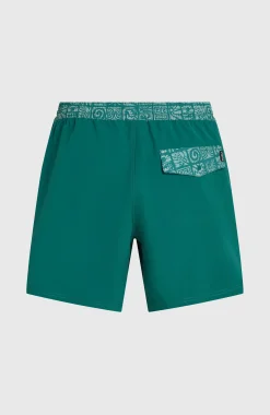 Homme O'Neill Shorts De Bain|Protection Anti-Uv-HommesShort de bain Pocket Print 16| Vert