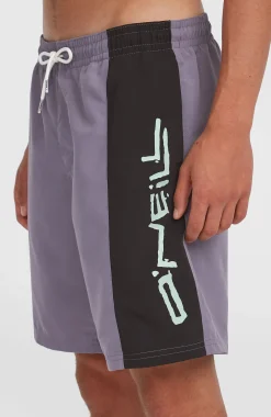 Homme O'Neill Shorts De Bain|Protection Anti-Uv-HommesShort de bain Retro 19''| Violet Mix