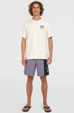Homme O'Neill Shorts De Bain|Protection Anti-Uv-HommesShort de bain Retro 19''| Violet Mix