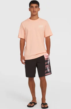 Homme O'Neill Shorts De Bain|Protection Anti-Uv-HommesShort de bain Retro 19''| Rose