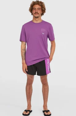 Homme O'Neill Shorts De Bain|Protection Anti-Uv-HommesShort de bain Retro 14''| Violet Mix
