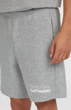 Homme O'Neill Shorts|Protection Anti-Uv-HommesShort Future Surf Society| Gris
