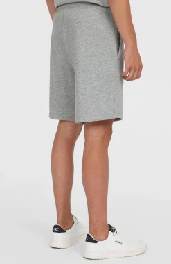 Homme O'Neill Shorts|Protection Anti-Uv-HommesShort Future Surf Society| Gris