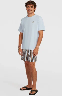 Homme O'Neill Shorts De Bain|Protection Anti-Uv-HommesShorts de bain O'Riginals Stripe 15| Bleu