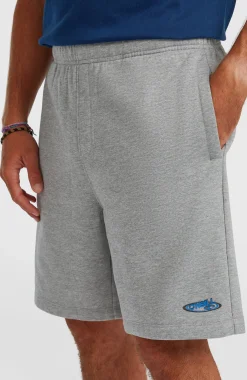 Homme O'Neill Shorts|Protection Anti-Uv-HommesShorts de survêtement Essentials 90s| Gris