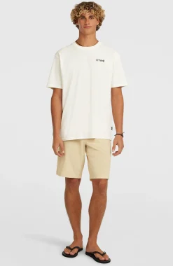 Homme O'Neill Shorts|Shorts Hybrid-HommesShorts Hybrid 19"| Beige