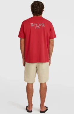 Homme O'Neill Shorts|Shorts Hybrid-HommesShorts Hybrid 19