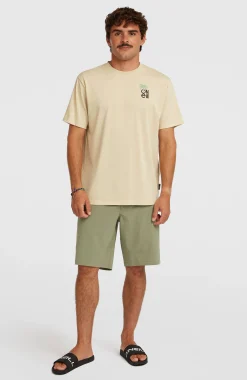 Homme O'Neill Shorts|Shorts Hybrid-HommesShorts Hybrid 19"| Vert
