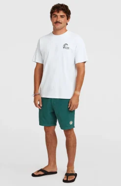 Homme O'Neill Shorts|Protection Anti-Uv-HommesShorts O'Riginals Cord| Vert