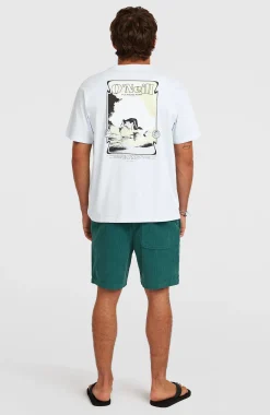Homme O'Neill Shorts|Protection Anti-Uv-HommesShorts O'Riginals Cord| Vert