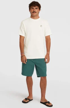 Homme O'Neill Shorts|Protection Anti-Uv-HommesShorts O'Riginals| Vert