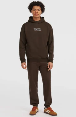 Homme O'Neill Sweats & Pulls|Protection Anti-Uv-HommesSweat à capuche Future Surf Society| Brun