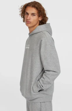 Homme O'Neill Sweats & Pulls|Protection Anti-Uv-HommesSweat à capuche Future Surf Society| Gris