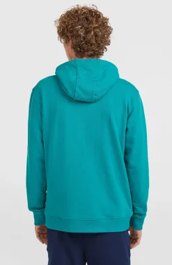 Homme O'Neill Sweats & Pulls|Protection Anti-Uv-HommesSweat à capuche Graphic| Bleu