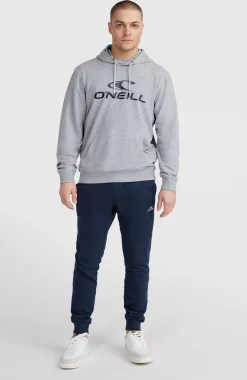 Homme O'Neill Sweats & Pulls|Protection Anti-Uv-HommesSweat à capuche Logo| Gris