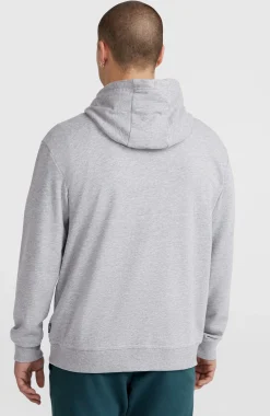Homme O'Neill Sweats & Pulls|Protection Anti-Uv-HommesSweat à capuche Small Logo| Gris