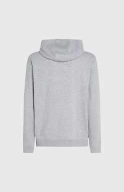 Homme O'Neill Sweats & Pulls|Protection Anti-Uv-HommesSweat à capuche Small Logo| Gris