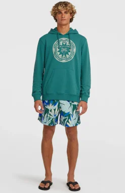 Homme O'Neill Sweats & Pulls|Protection Anti-Uv-HommesSweat à capuche Must-Have Graphic| Vert