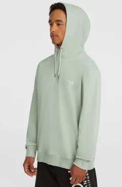 Homme O'Neill Sweats & Pulls|Protection Anti-Uv-HommesSweat à capuche Original Cali Logo| Vert