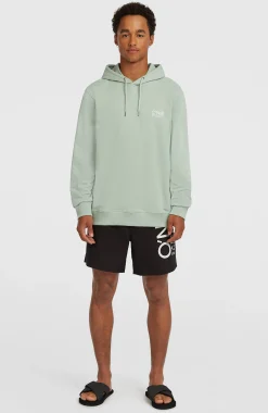 Homme O'Neill Sweats & Pulls|Protection Anti-Uv-HommesSweat à capuche Original Cali Logo| Vert