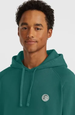 Homme O'Neill Sweats & Pulls|Protection Anti-Uv-HommesSweat à capuche O'Riginals Badge| Vert