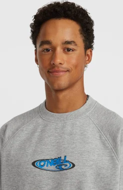 Homme O'Neill Sweats & Pulls|Protection Anti-Uv-HommesSweatshirt à col rond Essentials 90s Logo| Gris