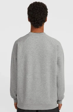Homme O'Neill Sweats & Pulls|Protection Anti-Uv-HommesSweatshirt à col rond Essentials 90s Logo| Gris