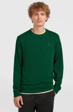 Homme O'Neill Sweats & Pulls|Protection Anti-Uv-HommesSweatshirt à col rond Small Logo| Vert