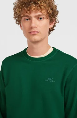 Homme O'Neill Sweats & Pulls|Protection Anti-Uv-HommesSweatshirt à col rond Small Logo| Vert