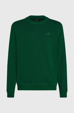 Homme O'Neill Sweats & Pulls|Protection Anti-Uv-HommesSweatshirt à col rond Small Logo| Vert