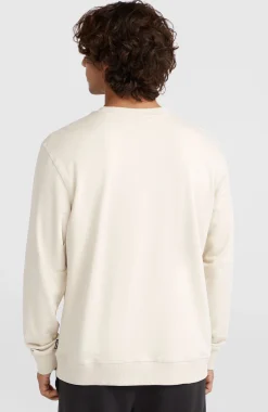 Homme O'Neill Sweats & Pulls|Protection Anti-Uv-HommesSweatshirt à col rond Small Logo| Beige