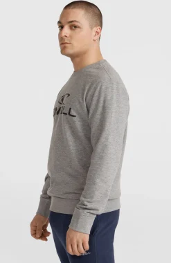 Homme O'Neill Sweats & Pulls|Protection Anti-Uv-HommesSweatshirt à col rond Logo| Gris