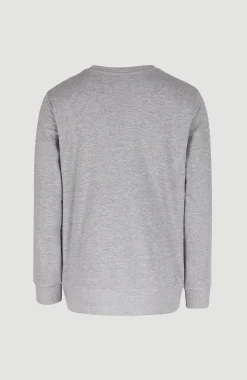 Homme O'Neill Sweats & Pulls|Protection Anti-Uv-HommesSweatshirt à col rond Logo| Gris