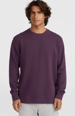 Homme O'Neill Sweats & Pulls|Protection Anti-Uv-HommesSweatshirt à col rond Small Logo| Violet