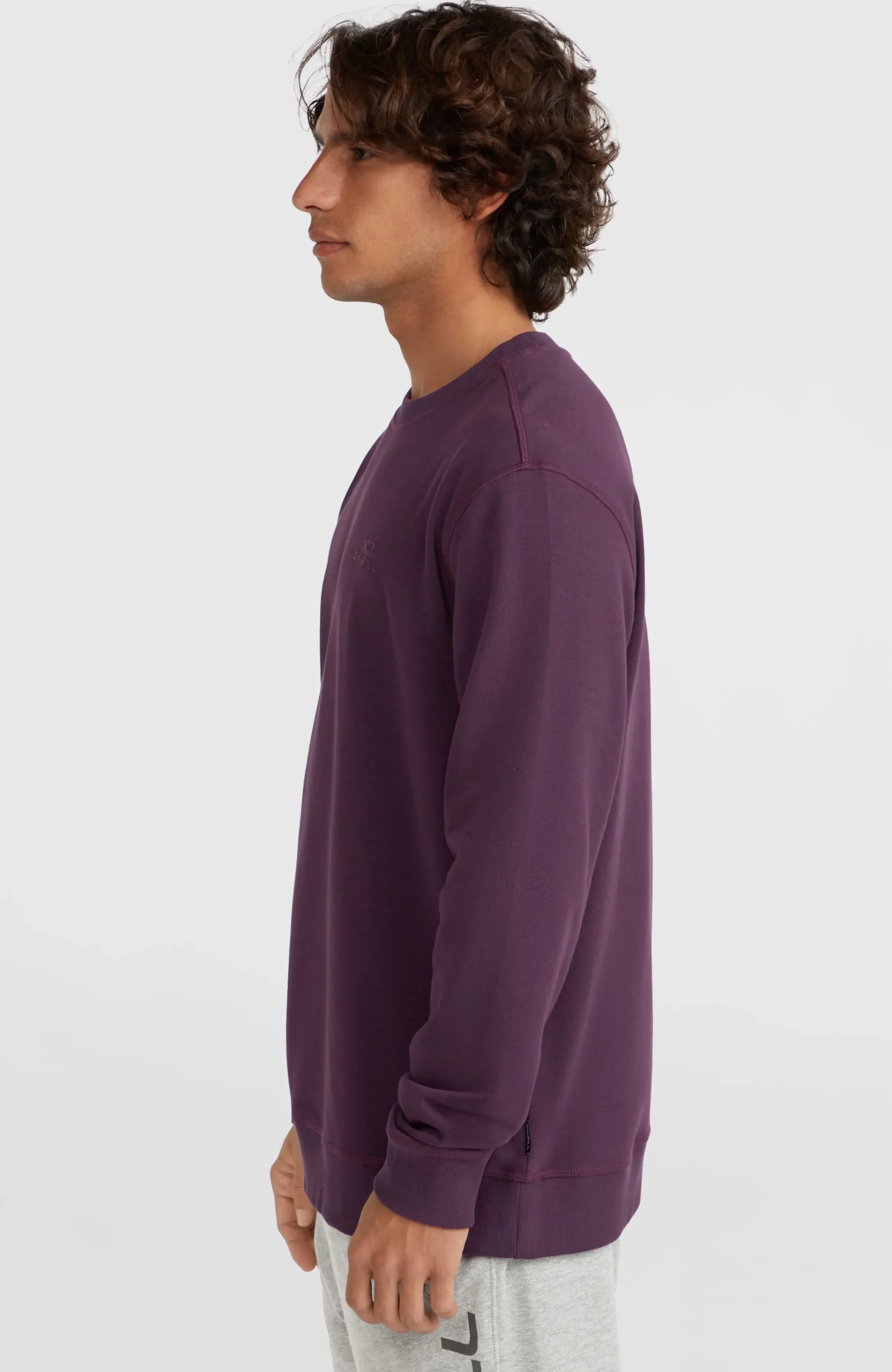 Homme O'Neill Sweats & Pulls|Protection Anti-Uv-HommesSweatshirt à col rond Small Logo| Violet