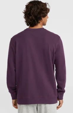 Homme O'Neill Sweats & Pulls|Protection Anti-Uv-HommesSweatshirt à col rond Small Logo| Violet