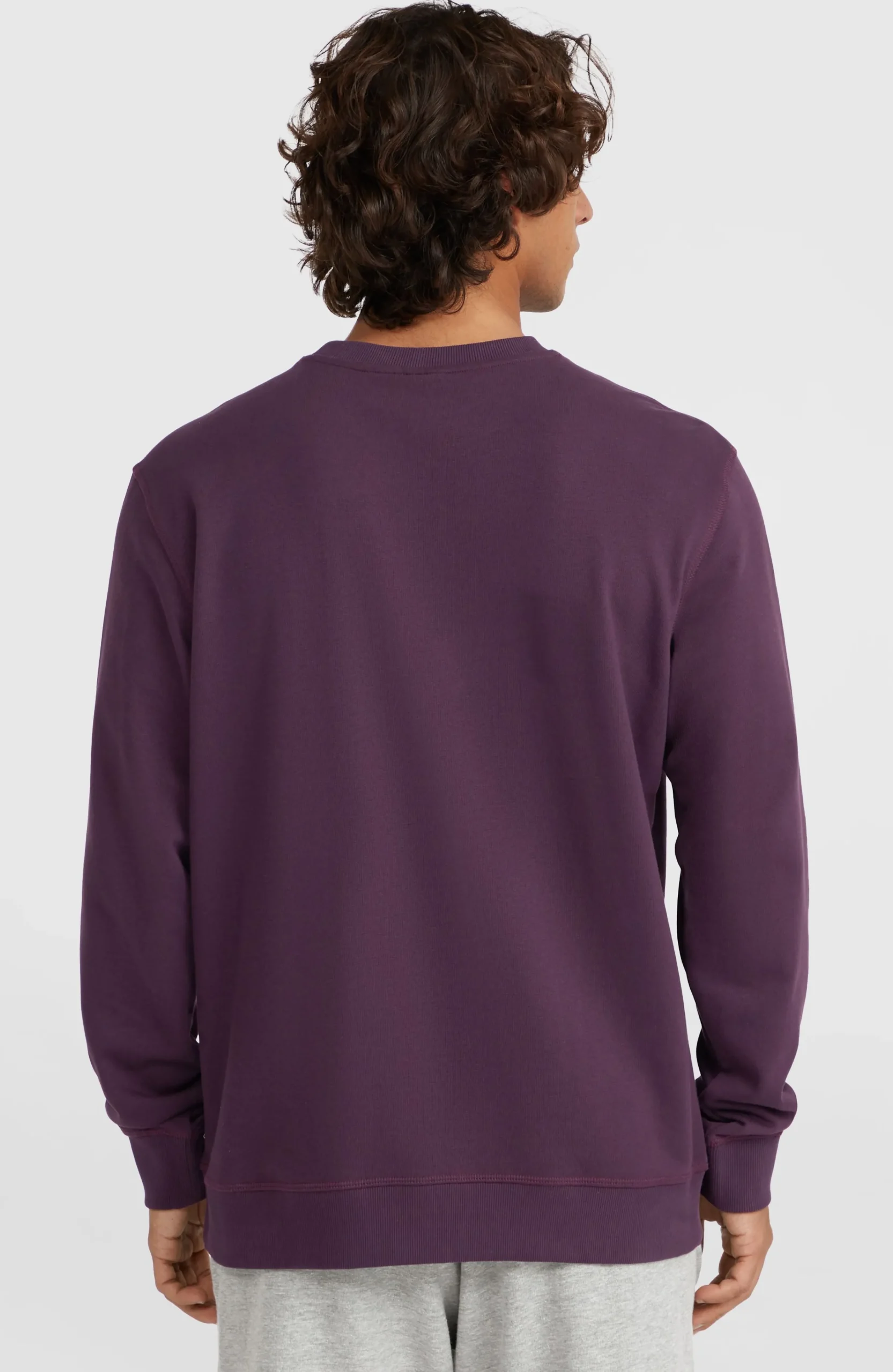 Homme O'Neill Sweats & Pulls|Protection Anti-Uv-HommesSweatshirt à col rond Small Logo| Violet
