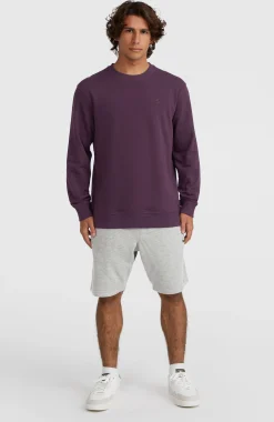 Homme O'Neill Sweats & Pulls|Protection Anti-Uv-HommesSweatshirt à col rond Small Logo| Violet
