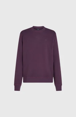 Homme O'Neill Sweats & Pulls|Protection Anti-Uv-HommesSweatshirt à col rond Small Logo| Violet