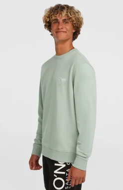 Homme O'Neill Sweats & Pulls|Protection Anti-Uv-HommesSweatshirt à col rond Original Cali Logo| Vert